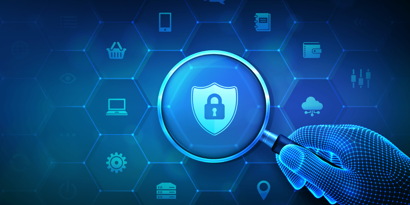 Vulnerability Scanning and Risk Detection