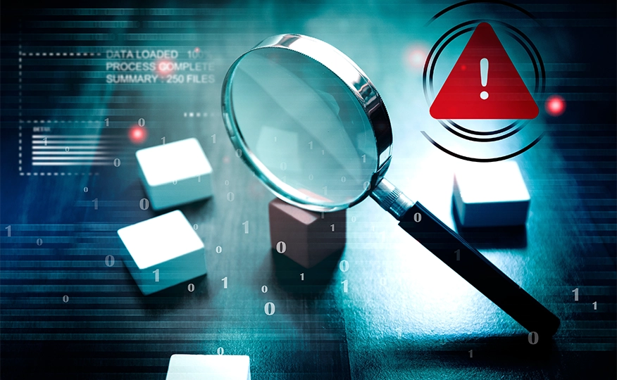 Vulnerability Assessment Services